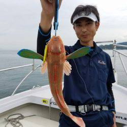 遊漁船　ニライカナイ 釣果