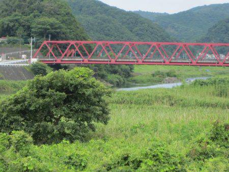 狩野川（狩野川漁業協同組合） 釣果