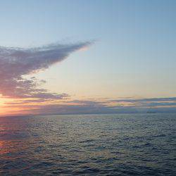 第三むつりょう丸 釣果