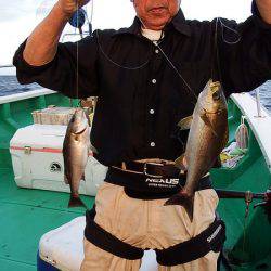 第三むつりょう丸 釣果