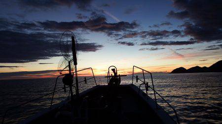 第三むつりょう丸 釣果