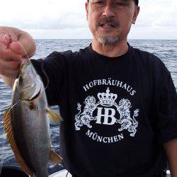 第三むつりょう丸 釣果