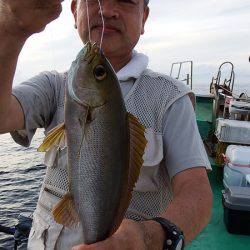 第三むつりょう丸 釣果