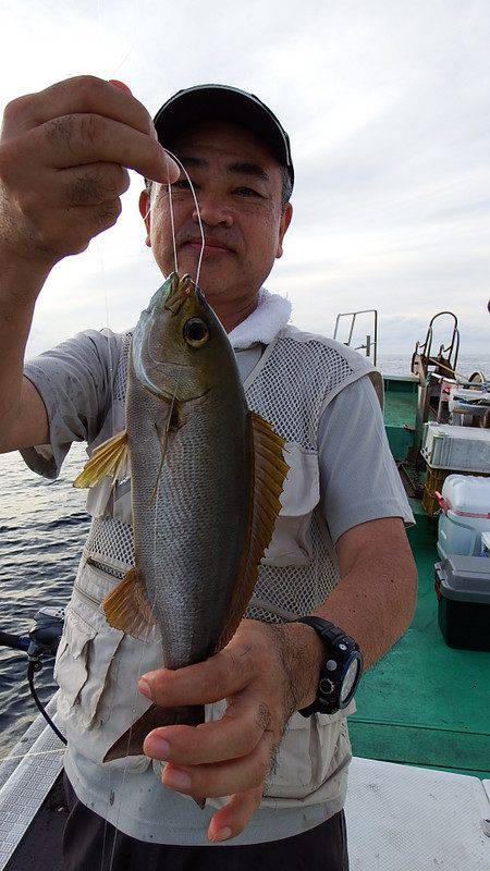 第三むつりょう丸 釣果