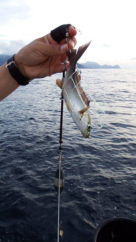 第三むつりょう丸 釣果