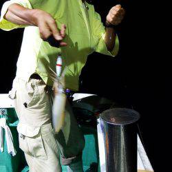 第三むつりょう丸 釣果