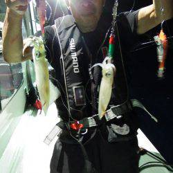 第三むつりょう丸 釣果