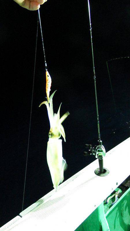 第三むつりょう丸 釣果