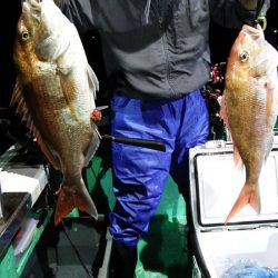 第三むつりょう丸 釣果