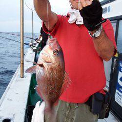 第三むつりょう丸 釣果