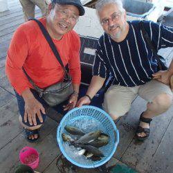 カタタのつり堀 釣果