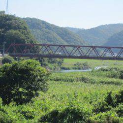 狩野川(狩野川漁業協同組合) 釣果
