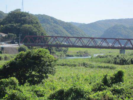 狩野川(狩野川漁業協同組合) 釣果