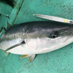 広進丸 釣果
