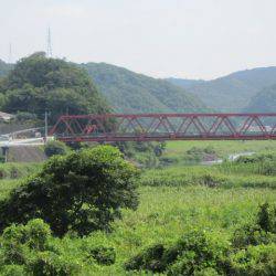 狩野川（狩野川漁業協同組合） 釣果