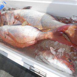 こうゆう丸 釣果