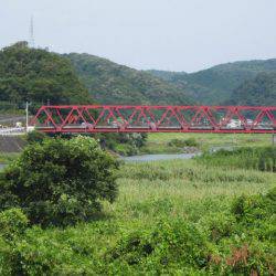 狩野川(狩野川漁業協同組合) 釣果