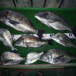 海山フィッシングセンター 釣果