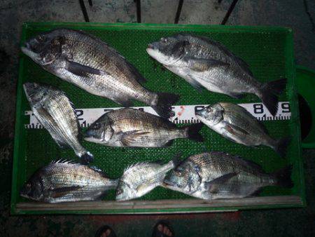 海山フィッシングセンター 釣果