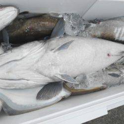 こうゆう丸 釣果