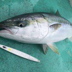 広進丸 釣果