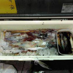 第二大福丸 釣果