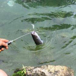 フィッシング サンクチュアリ 釣果