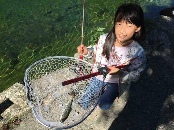 フィッシング サンクチュアリ 釣果