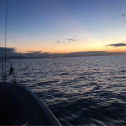 オーシャンズ 釣果