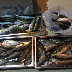 オーシャンズ 釣果