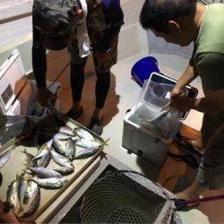 オーシャンズ 釣果