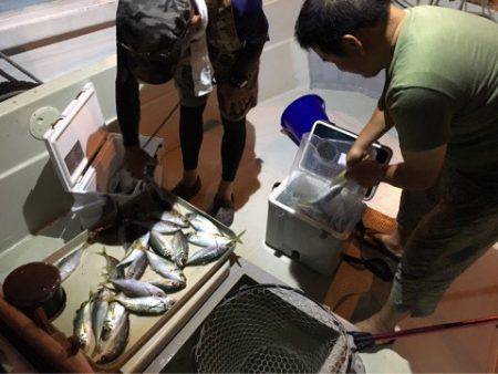 オーシャンズ 釣果