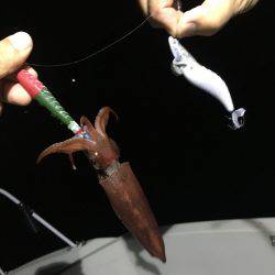 オーシャンズ 釣果