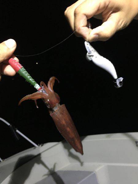 オーシャンズ 釣果