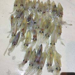 オーシャンズ 釣果