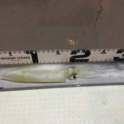 オーシャンズ 釣果