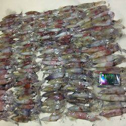 オーシャンズ 釣果