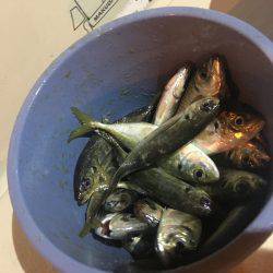 オーシャンズ 釣果