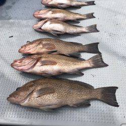 BlueOcean(ブルーオーシャン) 釣果