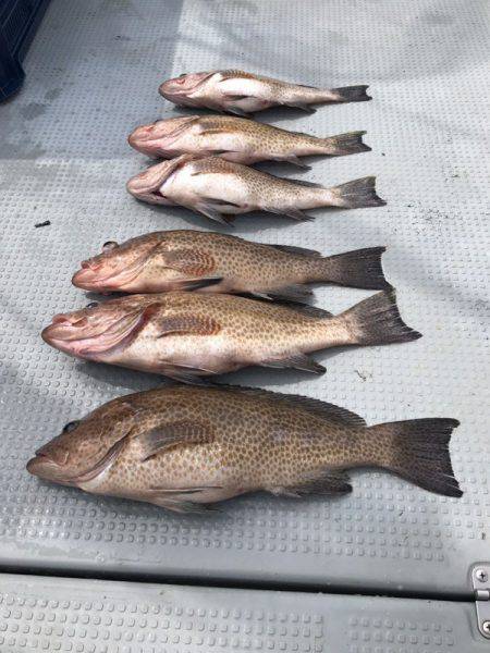 BlueOcean(ブルーオーシャン) 釣果