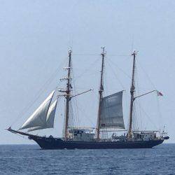 BlueOcean（ブルーオーシャン） 釣果