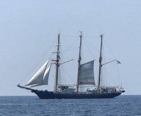 BlueOcean（ブルーオーシャン） 釣果