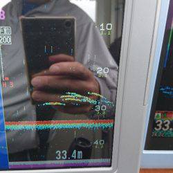 遊漁船ブルーウッズ 釣果