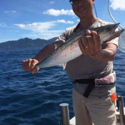 シーモンキー 釣果