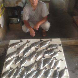 ふじや釣舟店 釣果