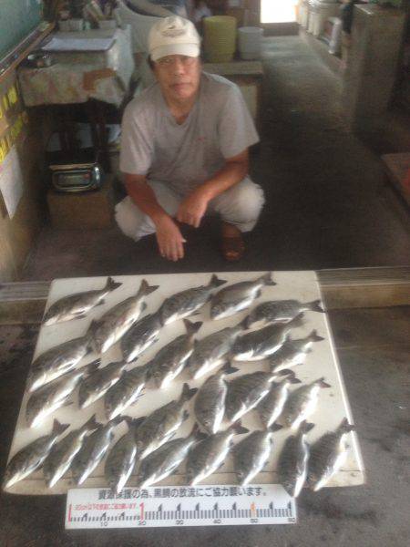 ふじや釣舟店 釣果