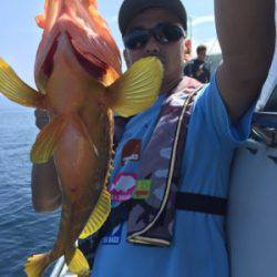 シーモンキー 釣果