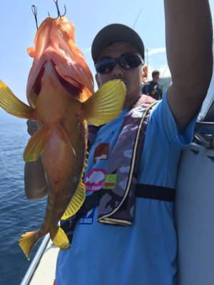 シーモンキー 釣果