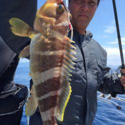 シーモンキー 釣果