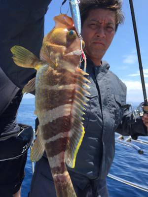 シーモンキー 釣果